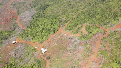 Satgas PKH Diminta Turun Tangan, Ilegal Logging Diduga Babat Hutan Lindung di Kolaka Utara