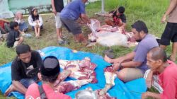 Tiga Sapi Kurban PT Toshida Indonesia Disalurkan untuk Penerima Manfaat di Kolaka