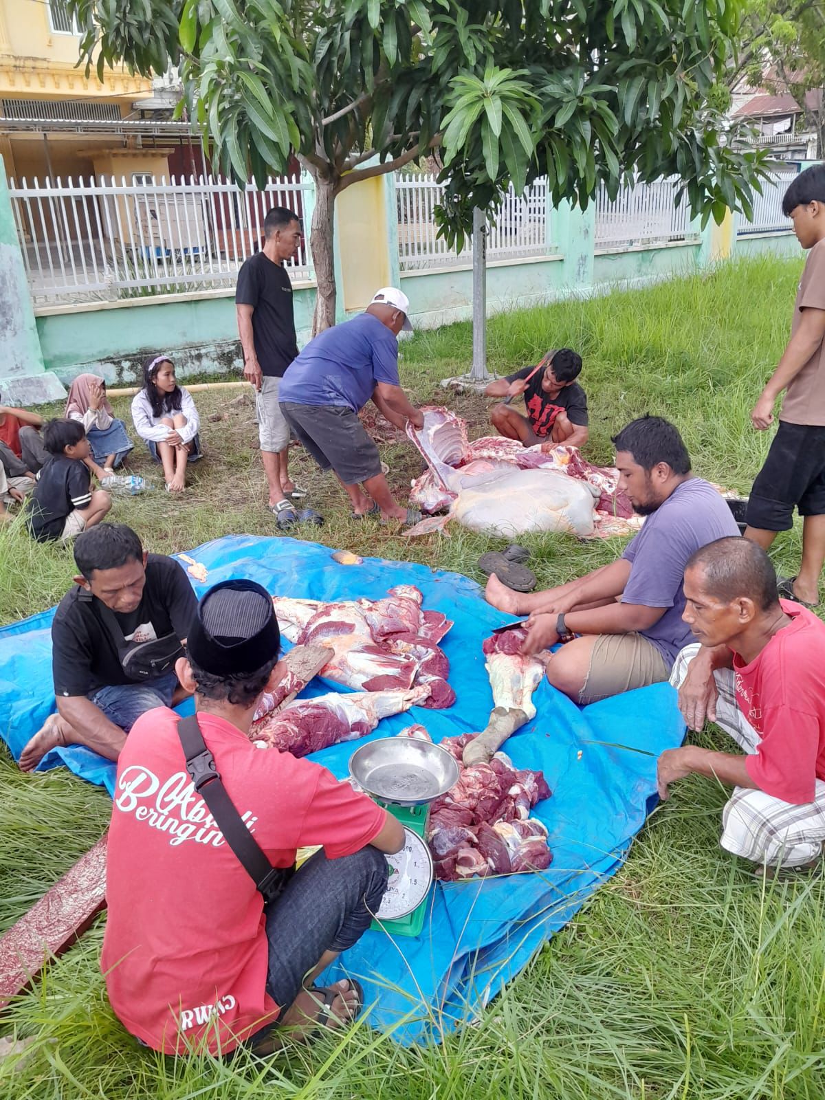 Tiga Sapi Kurban PT Toshida Indonesia Disalurkan untuk Penerima Manfaat di Kolaka